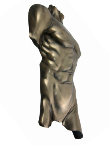 Veronese Design Bronze Finish Nude Male Torso Wall Hanging Figure Anatomy