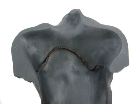 Veronese Design Bronze Finish Nude Male Torso Wall Hanging Figure Anatomy