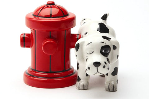 Pacific Giftware Dalmation Dog with Fire Hydrant Ceramic Magnetic Salt & Pepper Shaker Set Novelty Gift