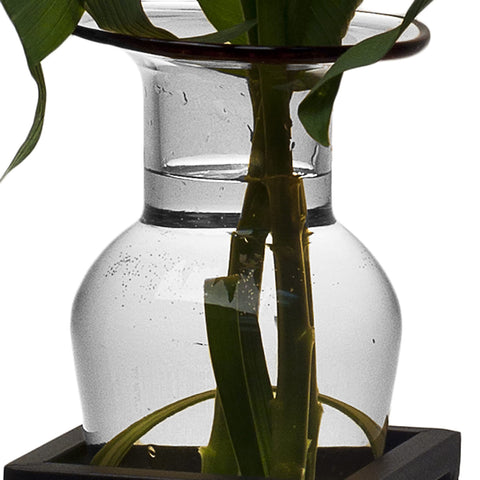 Danya B. Home Accent Wall Mount Fleur de Lis Flower Vase Sconce Made from Iron and Clear Glass, it Can be Displayed on The Wall Indoors or Perfect for The Patio