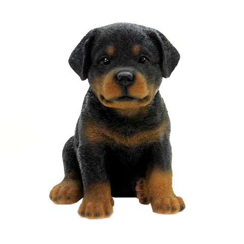 Pacific Giftware PT Realistic Look Black and Tan Rottweiler Puppy Dog Home Decorative Resin Figurine